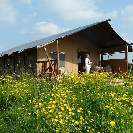 Tall Trees Glamping Baltonsborough Екстериор снимка