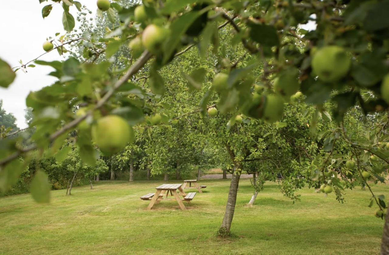 Tall Trees Glamping Baltonsborough Екстериор снимка