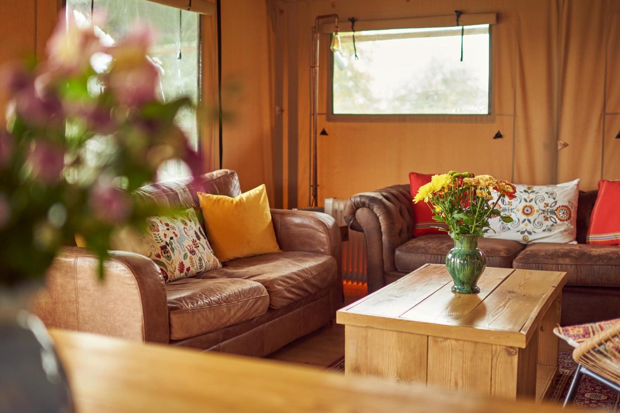 Tall Trees Glamping Baltonsborough Екстериор снимка