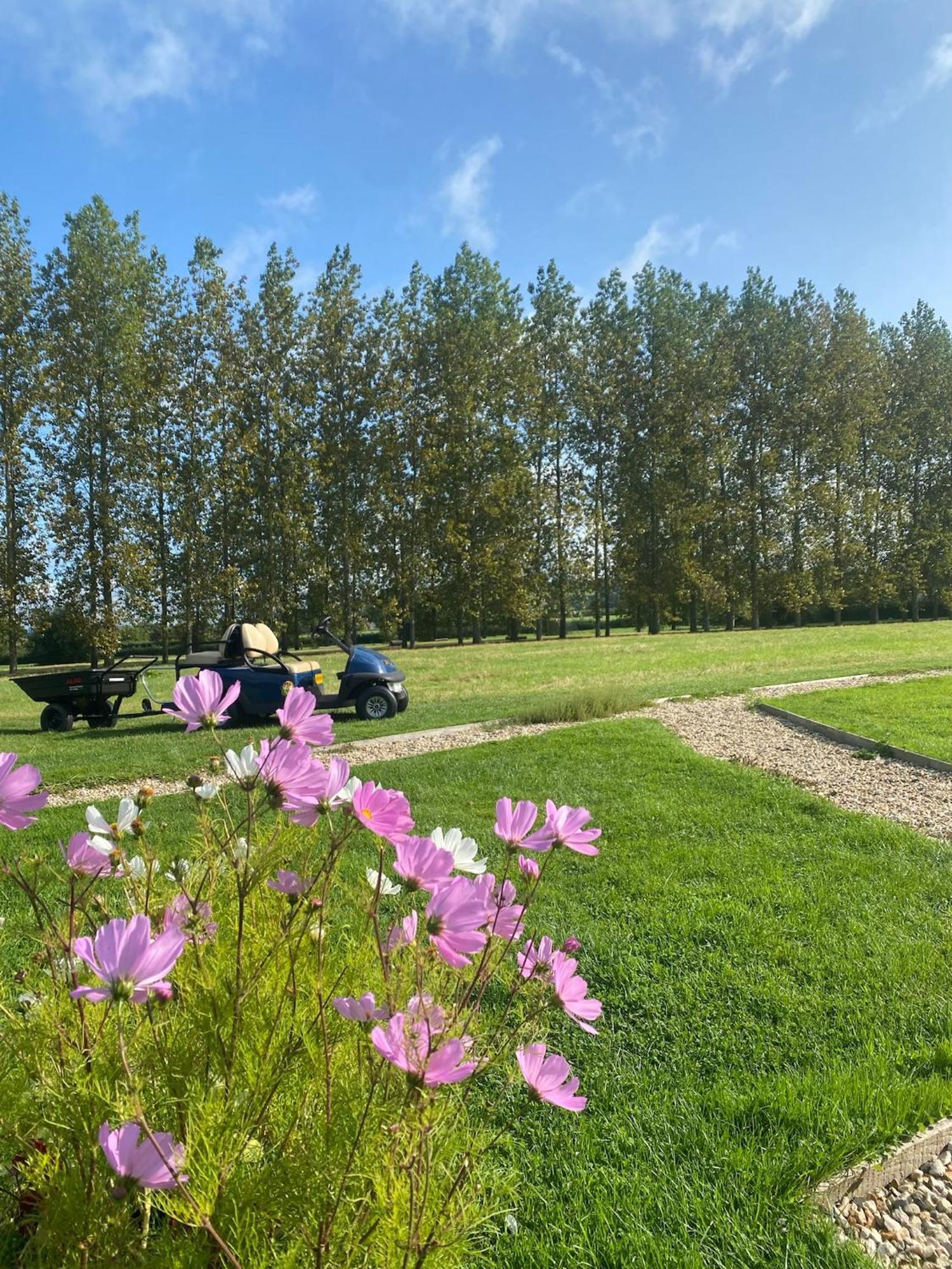 Tall Trees Glamping Baltonsborough Екстериор снимка