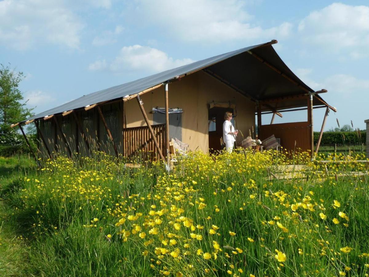 Tall Trees Glamping Baltonsborough Екстериор снимка